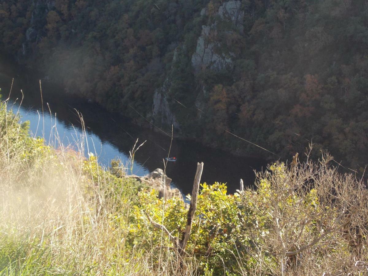 Le Cintrium Panzió Viala-du-Tarn Kültér fotó