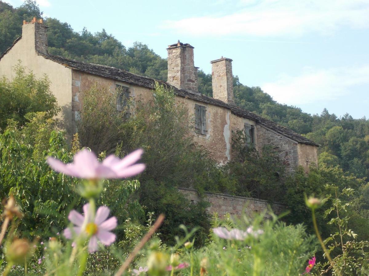Le Cintrium Panzió Viala-du-Tarn Kültér fotó
