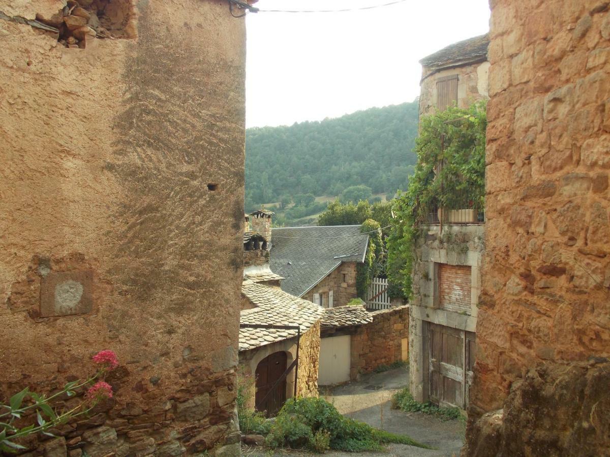 Le Cintrium Panzió Viala-du-Tarn Kültér fotó