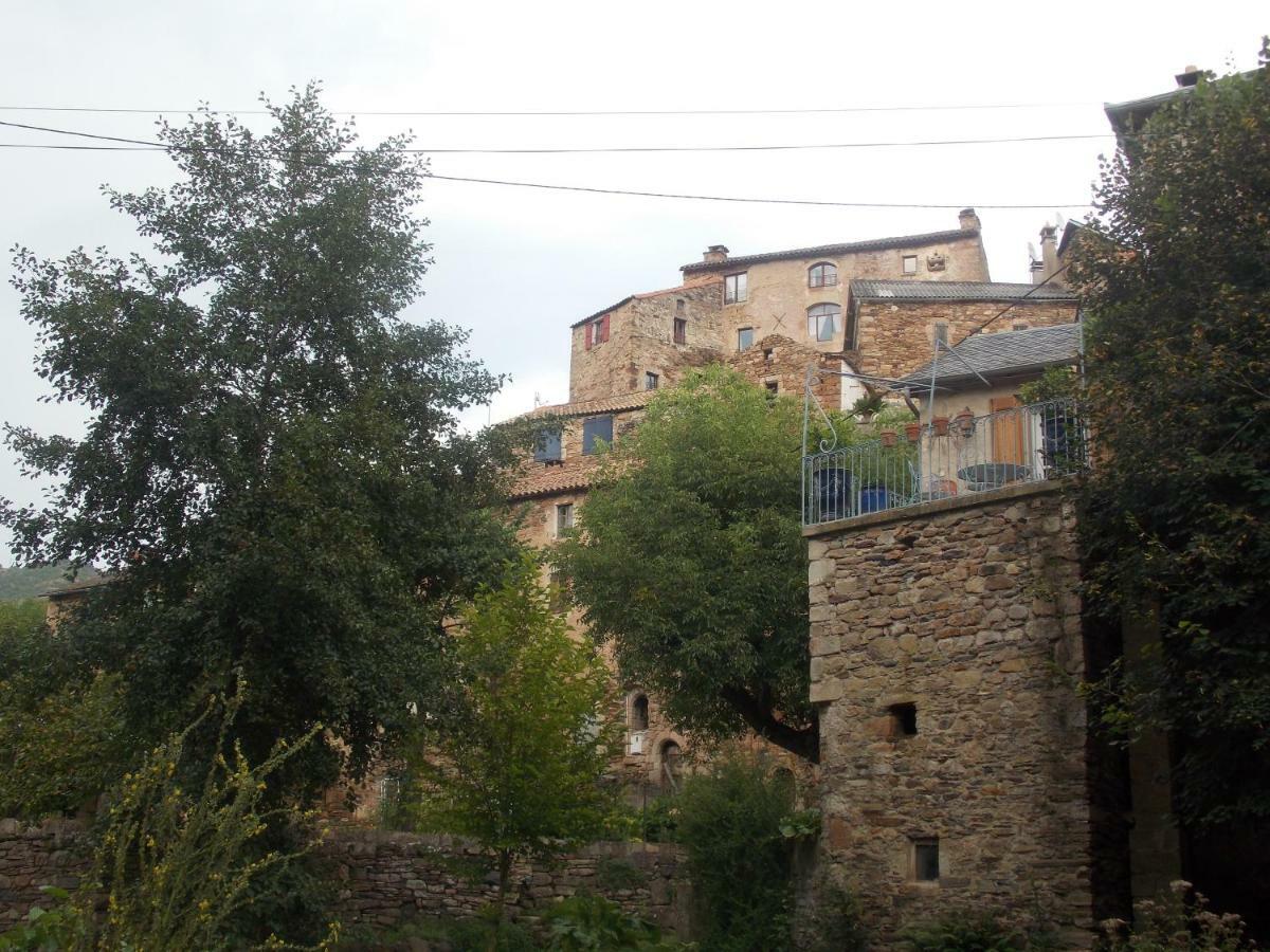 Le Cintrium Panzió Viala-du-Tarn Kültér fotó