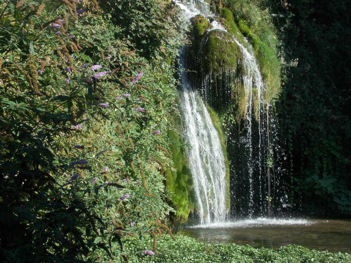 Le Cintrium Panzió Viala-du-Tarn Kültér fotó